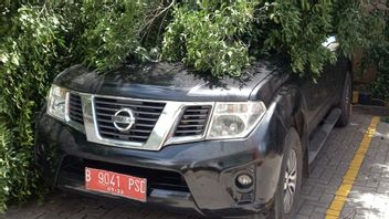 Une Voiture Opérationnelle Du Désnaker Jakpus Heurtée Par Un Arbre Tombé Dans La Région De Tanah Abang