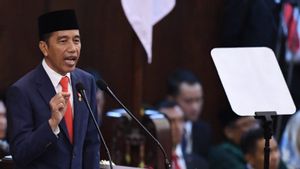 Tak Gentar Digugat Freeport, Jokowi: Hilirisasi Tak Akan Berhenti