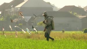 Mahasiswa Politeknik Sahid Soroti Penyusutan Sawah Bali hingga 12.000 Hektare dalam Satu Dekade