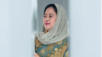 Pinka Hapsari Putri Puan Maharani Becomes A DPR Candidate From PDIP