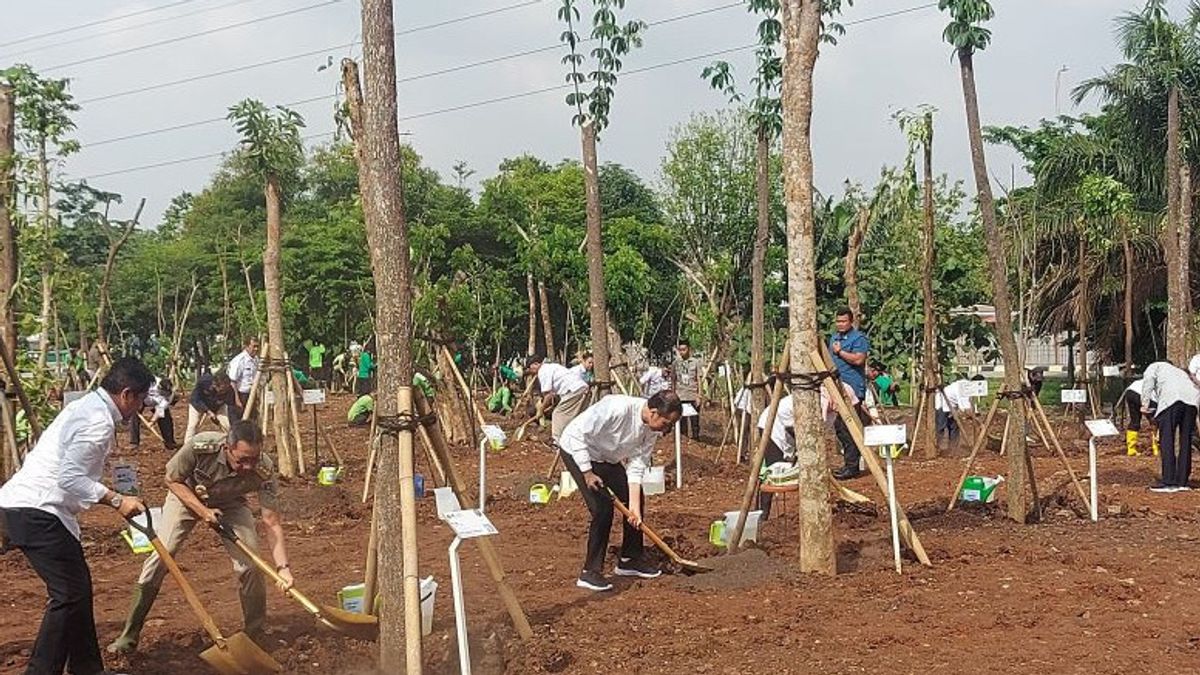 Masuk Musim Hujan, Jokowi Serukan Gerakan Tanam Pohon Serentak