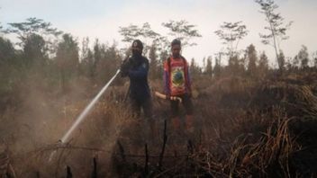 塔平乌苏特警察34起森林和陆地火灾案件