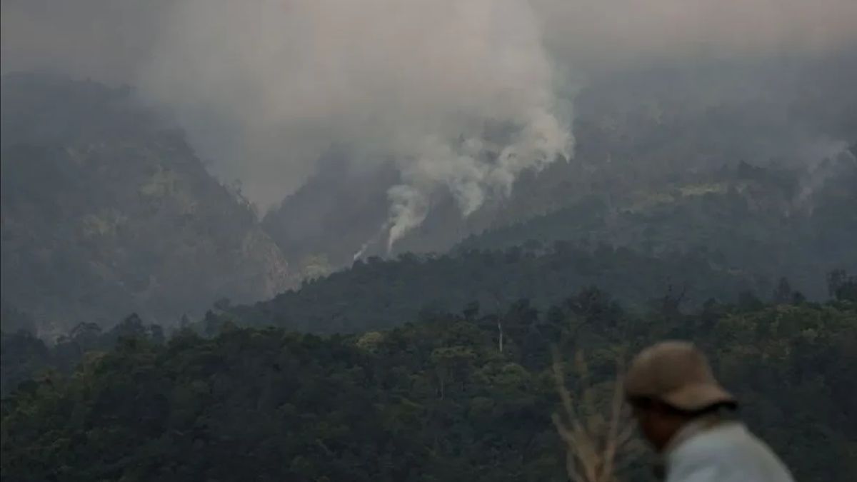 Agam摄政政府在森林和陆地火灾烟雾导致的ISPA预防学校发布了SE戴口罩