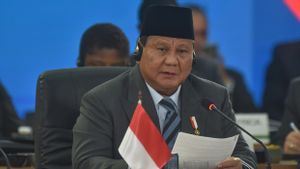 Presiden Prabowo Tegaskan Komitmen Indonesia Hadapi Perubahan Iklim di KTT BRICS 2025