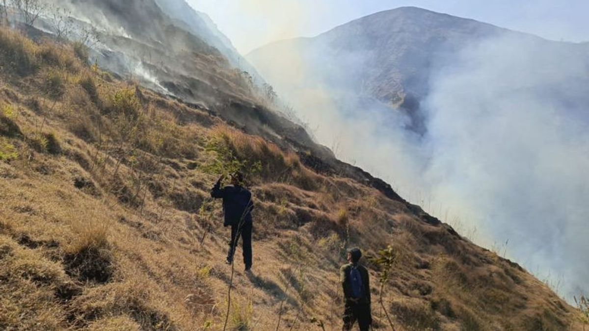 Pendakian Menuju Bukit Anak Dara Gunung Rinjani Ditutup Sementara 