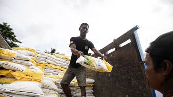 الرئيس جوكوي يأمر صفوفه بضمان مخزون آمن من الأرز قبل شهر رمضان