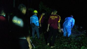 Appel De La Police Aux Habitants De Manado : Méfiez-vous Des Routes Glissantes Et Des Arbres Tombés