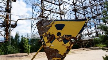 IAEA: Attacks On Iran's Nuclear Power Plant Could Trigger Radioactive Disasters