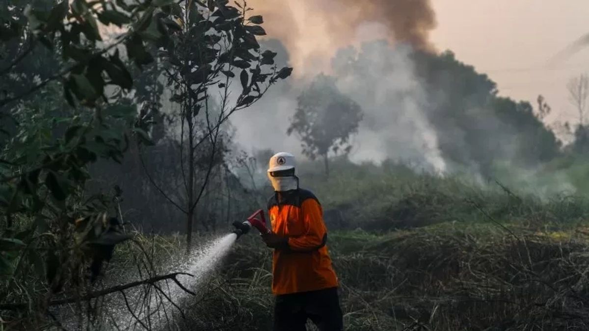 BPBD Sets South Hulu Sungai In South Kalimantan To Prepare For Karhutla Disaster