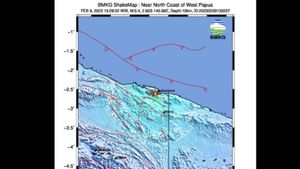 BMKG: Gempa Magnitudo 5,4 Mengguncang Wilayah Papua