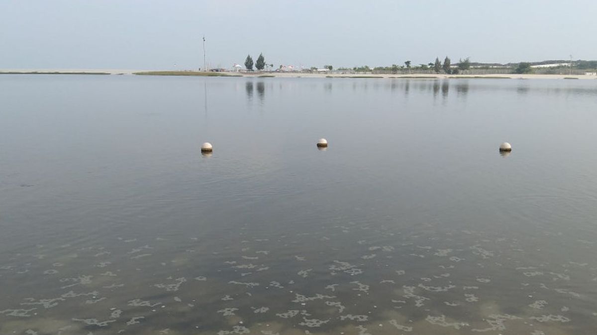 هناك محتوى الباراسيتامول في خليج جاكرتا، وسوف تشكل الحكومة فريق عمل للتحقيق