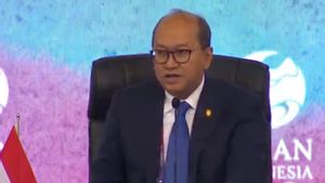 Rosan: Export of Natural Resources and Energy through SOEs Starts June 2026