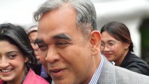 Muzani Ungkap Alasan Prabowo Belum Tetapkan Status Bencana Nasional Banjir Sumatera
