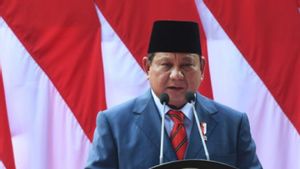 Prabowo Has The Ambition To Build A Giant Sea Embankment, Minister Basuki Responds Like This