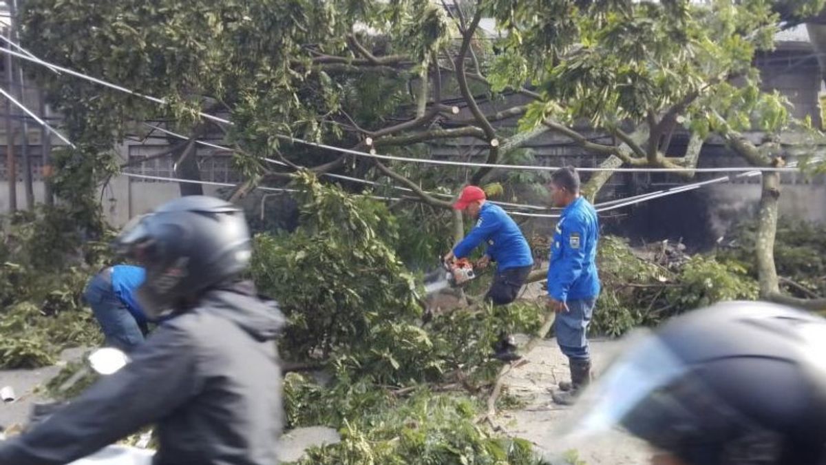 129 Houses Damaged by Wind Gust in Cimahi