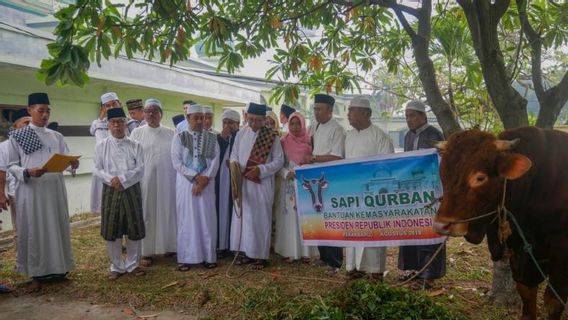 Riau Dapat Lagi Bantuan Sapi Kurban Presiden Jokowi