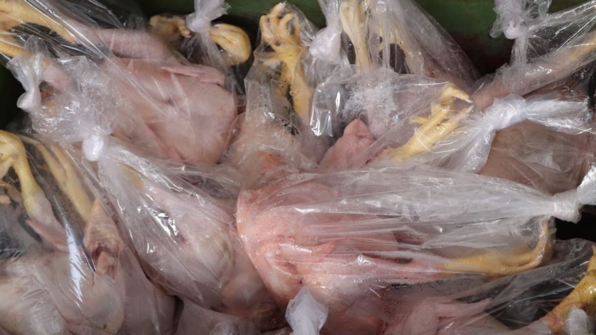 Slaughterer Of Formalin Chicken Arrested, Police Say Perpetrator Has Been Operating For 6 Years, Sold At Babakan Market, Tangerang