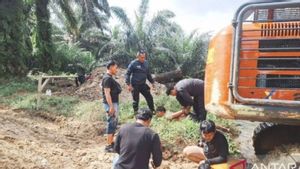 Polres Inhu Tangkap Satu Tersangka Perambah Hutan Taman Nasional