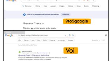 Google Search Now Can Check Grammar Errors With AI Support