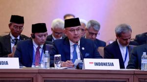 Wamenlu RI Serukan Solidaritas, Reformasi dan Kebangkitan Gerakan Non-Blok