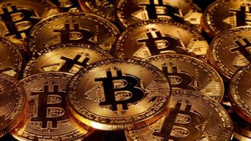 Investor Bitcoin AS Harus Tunduk Pada Hukum Jika Tidak Ingin Diblokir