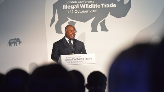 Kudeta Militer Gabon: Presiden Ali Bongo Ditahan, Mantan Kepala Paspampres Ditunjuk Pimpin Transisi