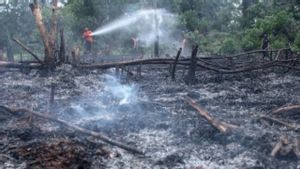 Forest And Land Fires In West Aceh Expand To 7.5 Hectares