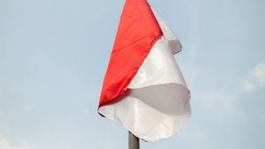 Polisi Gandeng Kementerian Hingga Interpol Buru Pria Pembakar Bendera Merah Putih di Malaysia