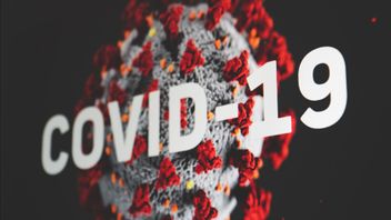 Record De Cas De COVID-19 à Bali Pendant Le PPKM D’urgence: 723 Personnes Exposées Au Coronavirus