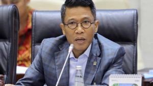 DPR Minta OJK Menunda 'Co-Payment' Asuransi Kesehatan