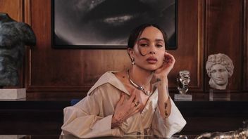 Zoe Kravitz Caught Holding Harry Styles' Hand in Rome