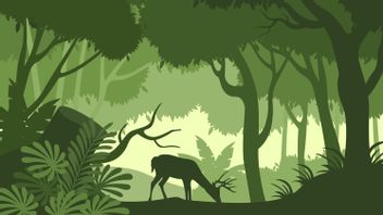 Mengapa Hutan Konservasi Krusial bagi Keberlanjutan Lingkungan?