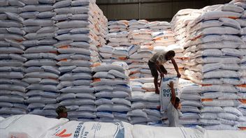 Bulog Rice Stock In Central Kalimantan Enough For The Next 5 Months