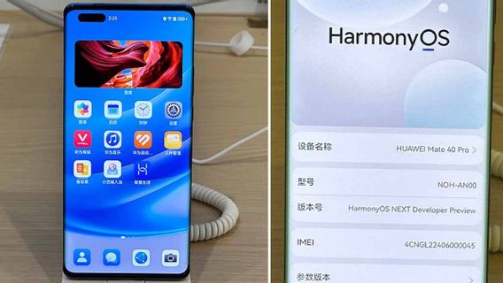 Huawei Launches 10,000 Special Applications For NEXT HarmonyOS