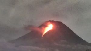 Gunung Merapi Pagi Ini: Awan Panas Guguran Meluncur Sejauh 1,2 Km