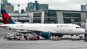 ベーシックフードに扱われる乗客、デルタ航空デトロイト-アムステルダム航空機JFKに着陸