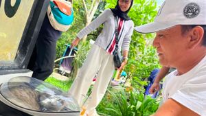 Kasus Gigitan Anjing Liar di Pekanbaru, Pemkot Bikin Posko Vaksin Anti-rabies