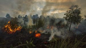 BRIN Terapkan Modifikasi Cuaca di Kalimantan Selatan Cegah Karhutla