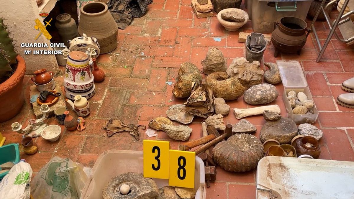 Spanish Police Site Hundreds Of Marine Fossil Artifacts To 18th Century Weapons In Citizens' Houses