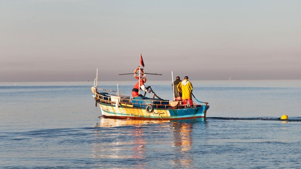 有害と考えられ、NU漁師組合は、PNBPレビー規則を改訂するために政府に求めます
