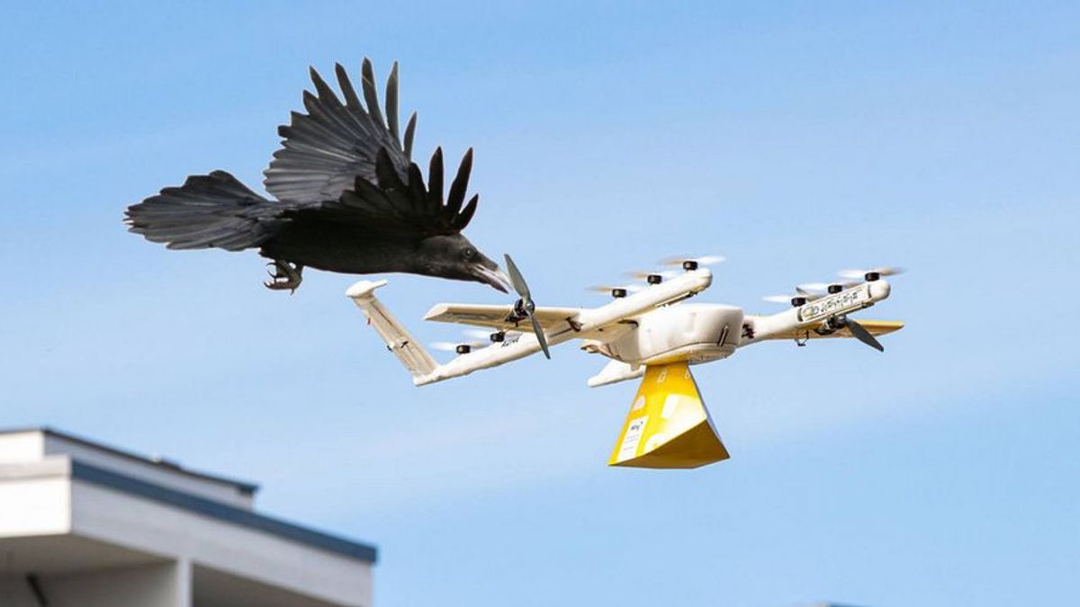 Le Service De Livraison De Drones De Wing Forcé D’être Temporairement Arrêté, C’est La Cause