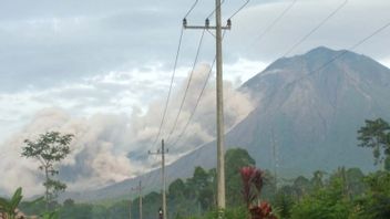 Mount Semeru Launches Hot Clouds Falls As Far As 3 Km