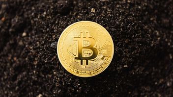 Kepala Riset di Fundstrat Global Tom Lee: Bitcoin Lebih Baik dari Dolar untuk Mencegah Kejahatan
