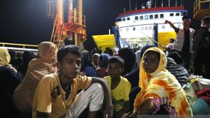 Dalam Sepekan, Imigrasi Catat 1.084 Pengungsi Etnis Rohingya Mendarat di Pesisir Aceh