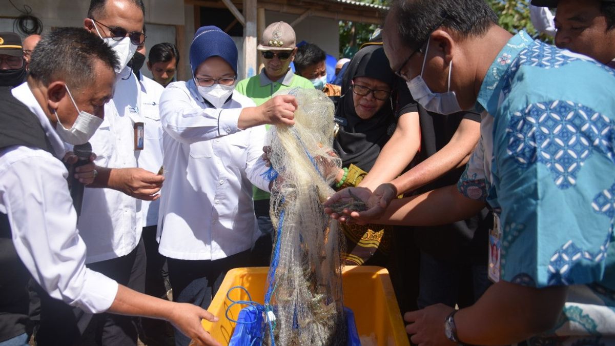 LPEI Builds Shrimp Cluster Foreign Exchange Village To Increase Export Growth In East Java