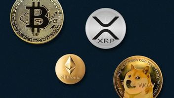 Berita Kripto: Biaya Transaksi Ethereum Paling Mahal, Dogecoin dan Ripple Juga Alami Peningkatan 