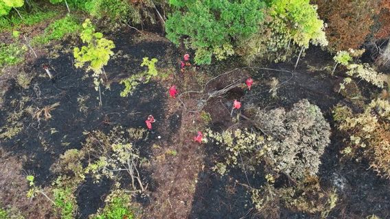 2 Karhutla Points in Bengkalis Riau, Manggala Agni Dispersed 4 Fire Teams