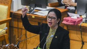 Ketua DPR Puan Maharani Dukung Penuh Penghapusan Libur Nataru