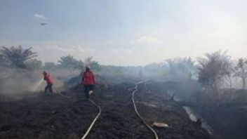 联合官员在伊尼尔和仁胡廖内进行森林和陆地火灾冷却