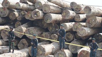 Kemenhut: Pembalakan Hutan Sipora Mentawai Rugikan Negara Rp240 Miliar